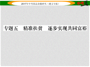 中考政治總復(fù)習(xí) 第二編 中考熱點(diǎn)速查篇 專題五 精準(zhǔn)扶貧 逐步實(shí)現(xiàn)共同富裕課件