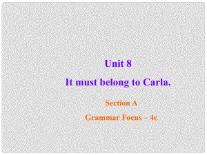 九年級英語全冊 Unit 8 It must belong to carla Section A（Grammar Focus4c）課件 （新版）人教新目標版