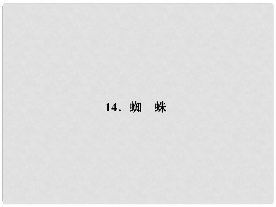 原（季版）七年級語文下冊 第四單元 14 蜘蛛課件 語文版_第1頁