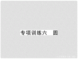 九年級(jí)數(shù)學(xué)下冊(cè) 專項(xiàng)訓(xùn)練六 圓課件 （新版）新人教版