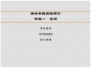 講練測高考英語一輪復(fù)習(xí) 語法專題訓(xùn)練部分 專題1 名詞課件 外研版