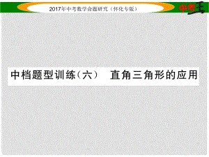 中考數(shù)學(xué)總復(fù)習(xí) 第二編 中檔題型突破專項(xiàng)訓(xùn)練篇 中檔題型訓(xùn)練（六）直角三角形的應(yīng)用課件