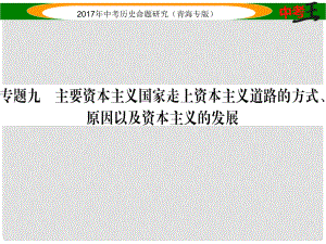 中考?xì)v史總復(fù)習(xí) 熱點專題突破篇 專題九 主要資本主義國家走上資本主義道路的方式、原因以及資本主義的發(fā)展課件