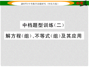 中考數學總復習 第二編 中檔題型突破專項訓練篇 中檔題型訓練（二）解方程（組）、不等式（組）及其應用課件