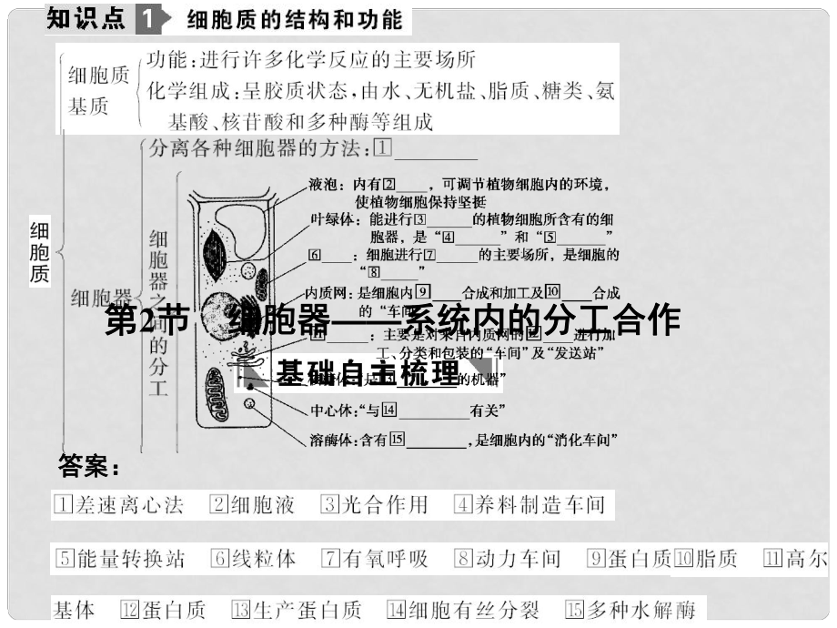 高考生物一輪復(fù)習(xí) 第3章 細(xì)胞的基本結(jié)構(gòu) 第2節(jié) 細(xì)胞器——系統(tǒng)內(nèi)的分工合作課件 新人教版必修1_第1頁(yè)