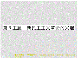 中考歷史總復習 第一部分 主題探究 第3主題 新民主主義革命的興起課件