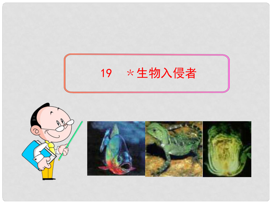 四川省敘永縣永寧中學(xué)八年級(jí)語(yǔ)文上冊(cè) 19《生物入侵者》教學(xué)課件 （新版）新人教版_第1頁(yè)