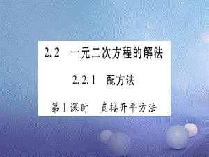 九級(jí)數(shù)學(xué)上冊(cè) . 一元二次方程的解法習(xí)題課件 （新版）湘教版