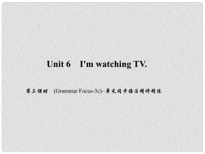 原七年級英語下冊 Unit 6 I'm watching TV（第3課時）(Grammar Focus3c)同步語法精講精練課件 （新版）人教新目標(biāo)版