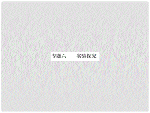 中考化學(xué)第二輪復(fù)習(xí) 專題訓(xùn)練 提高能力 專題六 實(shí)驗(yàn)探究習(xí)題課件 新人教版