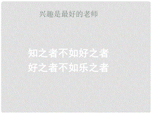 廣東省樂昌市樂昌實(shí)驗(yàn)學(xué)校九年級(jí)語文上冊(cè) 8《清兵衛(wèi)與葫蘆》課件 語文版