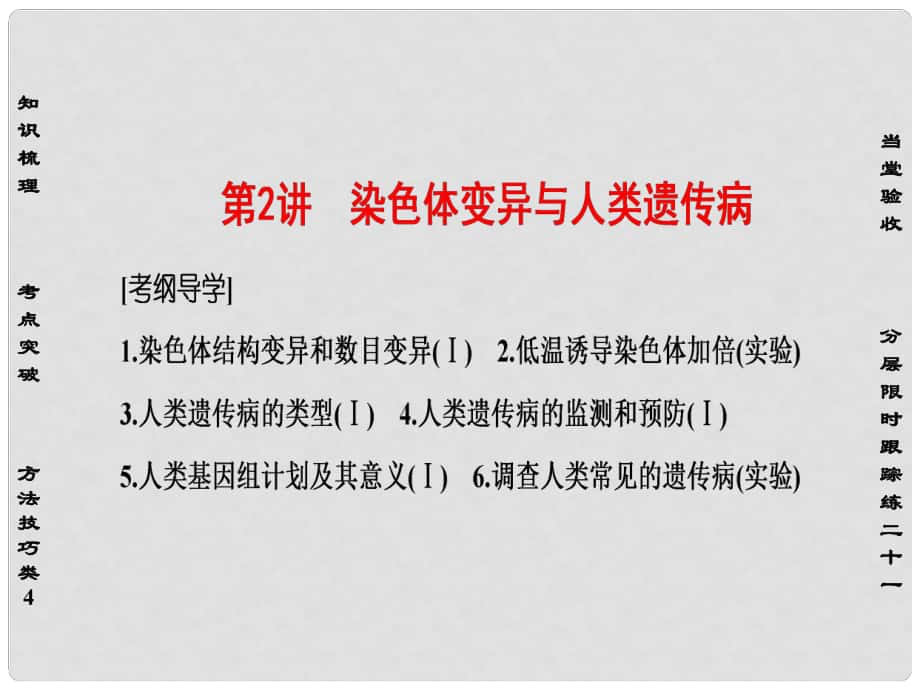 高考生物一輪復(fù)習(xí) 第7單元 生物的變異、育種與進(jìn)化 第2講 染色體變異與人類遺傳病課件_第1頁