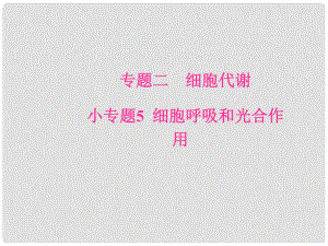 高考生物二輪專題復習 專題二 細胞代謝 小專題5 細胞呼吸和光合作用課件