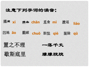 江蘇省南京市六合龍袍中學(xué)九年級(jí)語(yǔ)文上冊(cè) 10《孤獨(dú)之旅》課件 新人教版