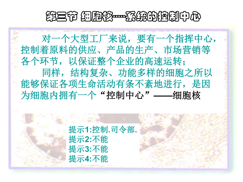 人教版教學(xué)課件云南省彌勒縣慶來中學(xué)高一物 細(xì)胞核—系統(tǒng)的控制中心(課件)_第1頁