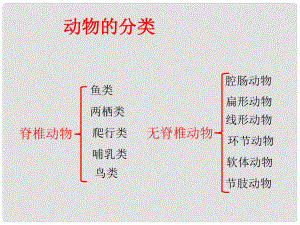 八年級(jí)生物上冊(cè) 第七單元 第一章 第一節(jié) 腔腸動(dòng)物和扁形動(dòng)物 動(dòng)物的分類課件 魯科版五四制