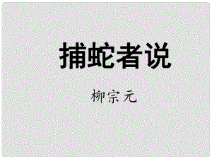 江蘇省海安縣大公鎮(zhèn)初級中學(xué)九年級語文上冊 19《捕蛇者說》課件 蘇教版