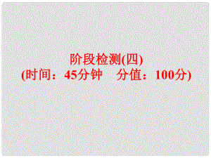 中考化學(xué) 第一部分 教材梳理 階段練習(xí) 階段檢測（四）課件 （新版）魯教版