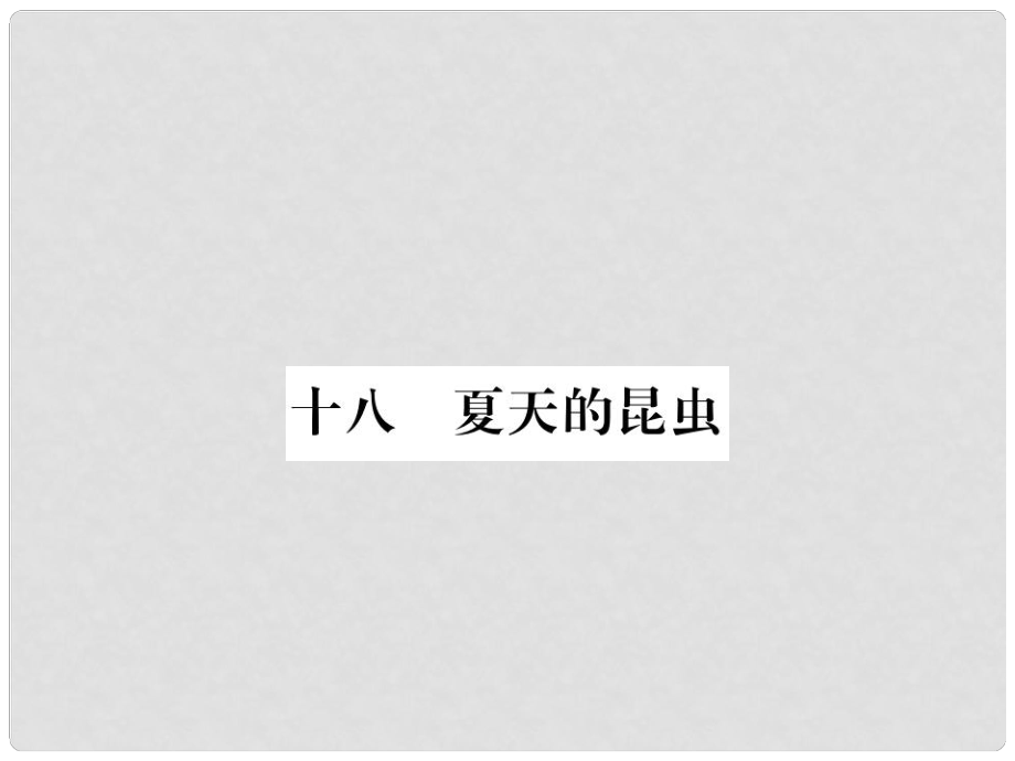 七年級語文下冊 第4單元 18《夏天的昆蟲》課件 蘇教版_第1頁