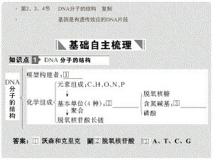 高考生物一輪復(fù)習(xí)課件：必修2 第3章 基因的本質(zhì) 第2、3、4節(jié) DNA分子的結(jié)構(gòu) 復(fù)制基因是有遺傳效應(yīng)的DNA片段課件 新人教版必修3