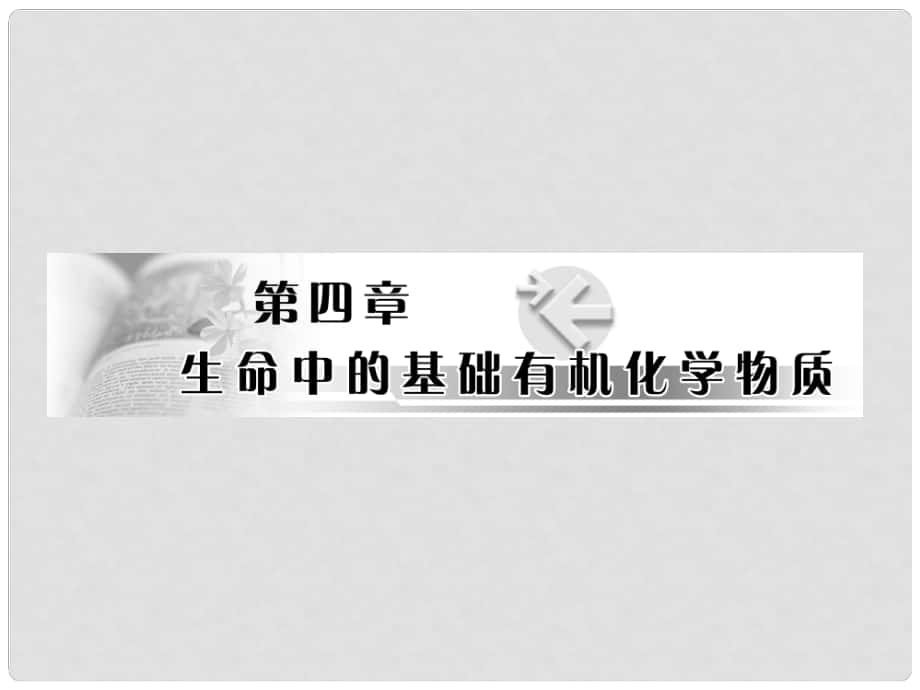 高中化学 4.1 《油脂》课件 新人教版选修5_第1页