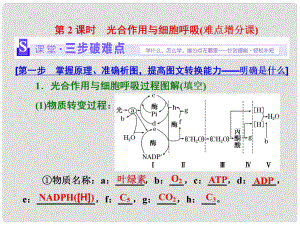 高考生物二輪復(fù)習(xí) 第一部分 專題一 細(xì)胞系統(tǒng) 第3講 第2課時 光合作用與細(xì)胞呼吸(難點(diǎn)增分課)課件