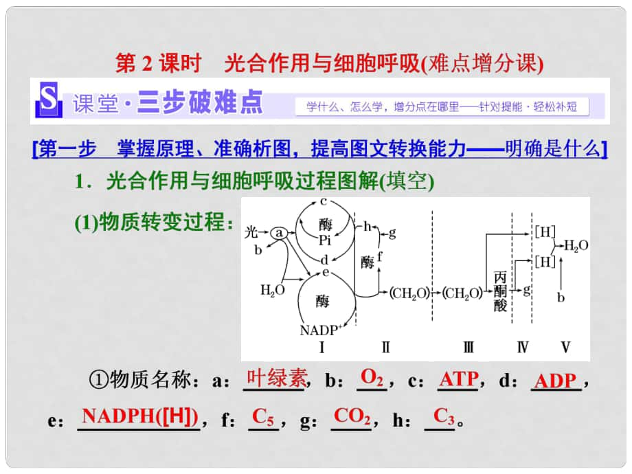 高考生物二輪復(fù)習(xí) 第一部分 專題一 細胞系統(tǒng) 第3講 第2課時 光合作用與細胞呼吸(難點增分課)課件_第1頁