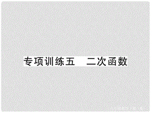 九年級數(shù)學(xué)下冊 專項訓(xùn)練五 二次函數(shù)習(xí)題課件 （新版）北師大版