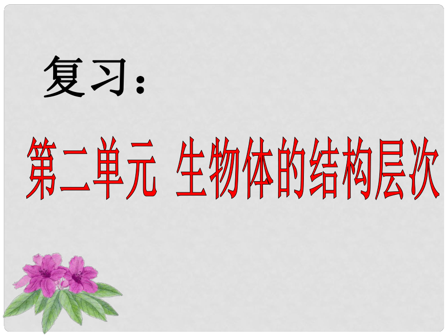 七年級生物上冊 第二單元 生物體的結(jié)構(gòu)層次復(fù)習(xí)課件 新人教版_第1頁