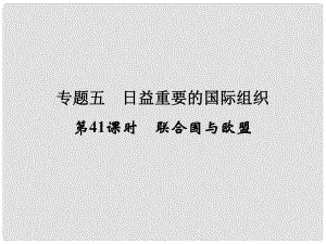 高考政治一輪復(fù)習(xí) 專題5 日益重要的國(guó)際組織（第41課時(shí)）聯(lián)合國(guó)與歐盟課件 新人教選修3