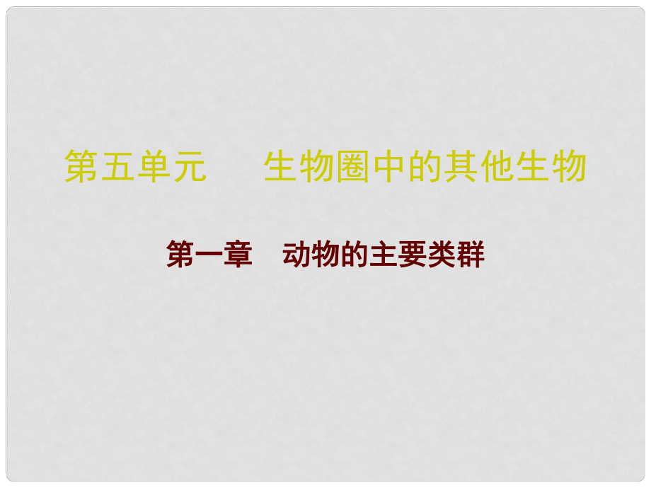 廣東省中考生物總復(fù)習(xí) 第五單元 第一章 動(dòng)物的主要類群課件_第1頁