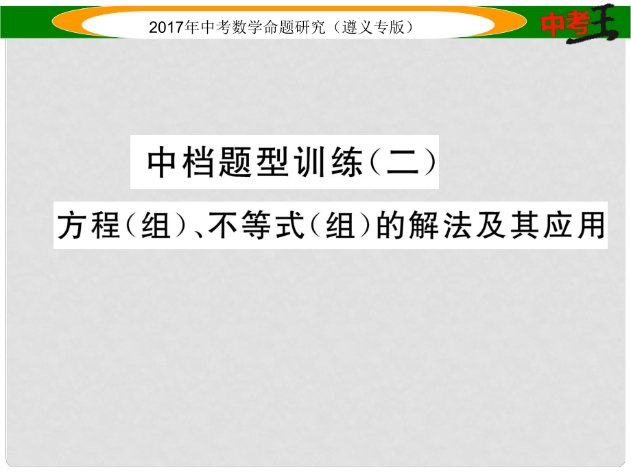 中考数学总复习 第二编 中档专项训练篇 中档题型训练（二）方程（组）、不等式（组）的解法及其应用课件_第1页