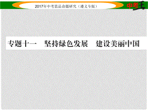 中考政治總復習 第二編 中考熱點速查篇 專題十一 堅持綠色發(fā)展 建設美麗中國課件