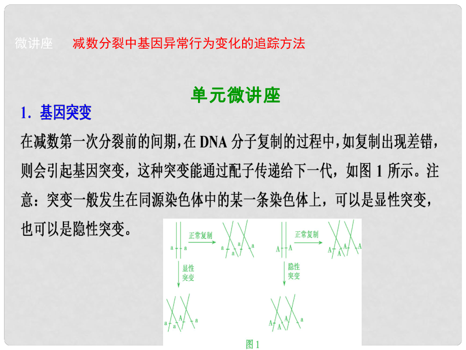 優(yōu)化探究高考生物一輪復習 第四單元 細胞的生命歷程單元微講座課件 新人教版_第1頁