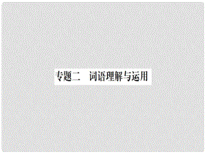 七年級語文上冊 專題二 詞語理解與運用課件 新人教版