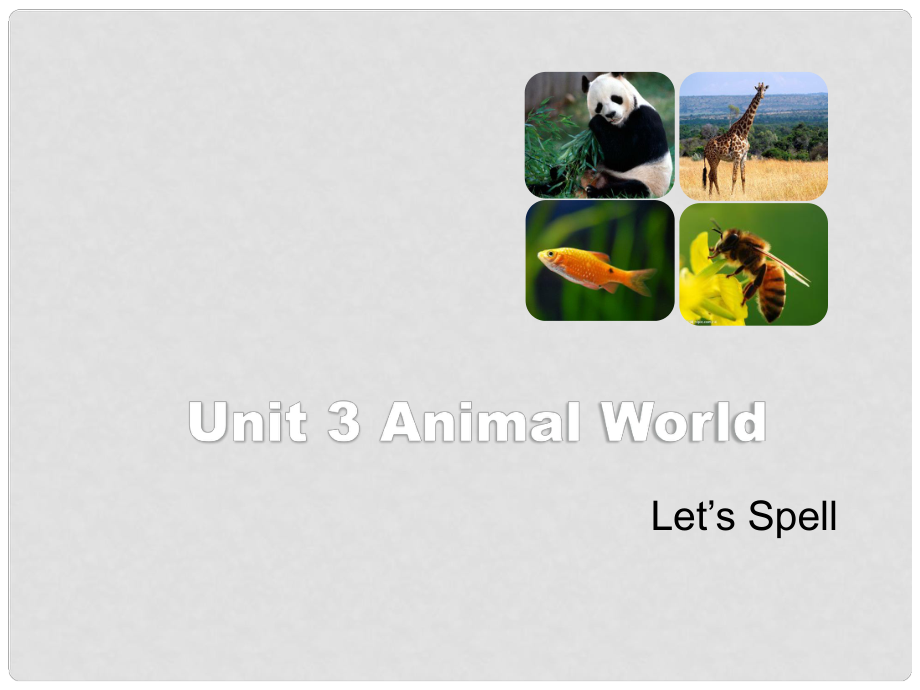 六年級英語上冊 Unit 3 Animal World（Let’s Spell）課件 人教新起點(diǎn)_第1頁