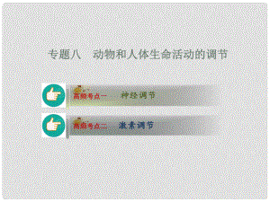 新高考高考生物二輪復習 專題8 動物和人體生命活動的調(diào)節(jié)課件