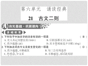 廣西桂林市九年級(jí)語文下冊(cè) 第六單元 21 古文二則習(xí)題課件 語文版