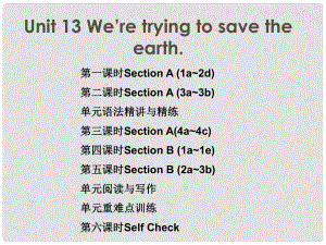 九年級英語全冊 隨堂特訓 Unit 13 We’re trying to save the earth課件 （新版）人教新目標版