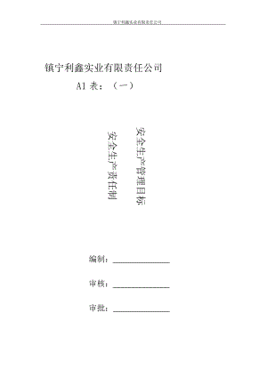 A1表1安全生產(chǎn)責(zé)任制度