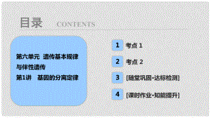 高考生物大一輪復(fù)習(xí) 第六單元 遺傳基本規(guī)律與伴性遺傳 第1講 基因的分離定律課件