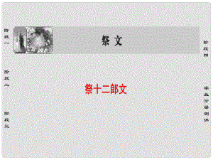 高中語文 10祭文 祭十二郎文課件 蘇教版選修《唐宋八大家散文選讀》