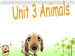 三年級英語上冊 Unit 3 Animals課件3 廣東版開心