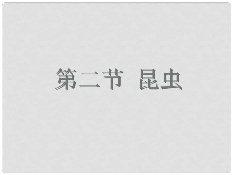 七年級生物下冊 第五單元 第12章 空中的生物 第2節(jié) 昆蟲課件2 （新版）蘇科版_第1頁