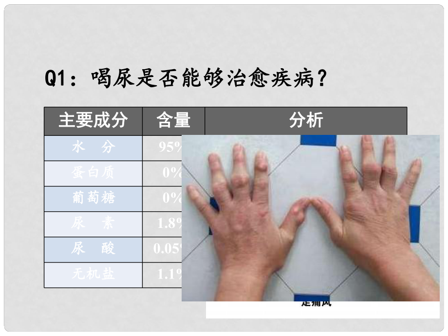 广东省佛山市顺德区伦教翁佑中学七年级生物下册 第4单元 第5章《人体内废物的排出》课件 （新版）新人教版_第1页