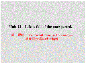 原九年級英語全冊 Unit 12 Life is full of the unexpected（第3課時(shí)）Section A（Grammar Focus4c）同步語法精講精練課件 （新版）人教新目標(biāo)版