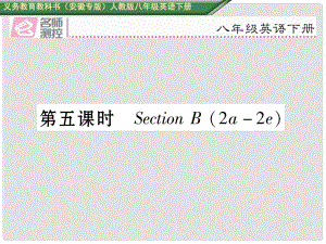 八年級(jí)英語(yǔ)下冊(cè) Unit 8 Have you read Treasure Island yet（第5課時(shí)）Section B（2a2e）習(xí)題課件 （新版）人教新目標(biāo)版