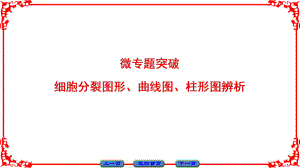 高中生物 第1單元 遺傳與變異的細胞學基礎(chǔ) 微專題突破課件 中圖版必修2