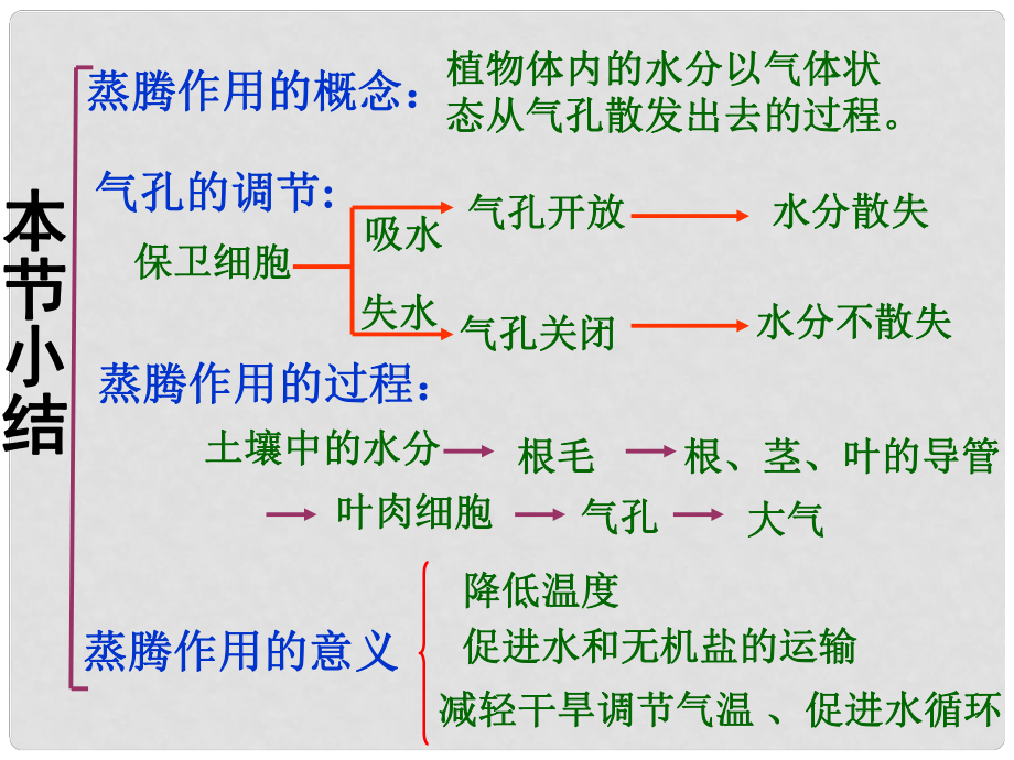 八年級生物上冊 第三單元 第四章 第二節(jié) 蒸騰作用 蒸騰作用小結(jié)課件 冀少版_第1頁