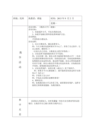 小班健康教案《我的小手》